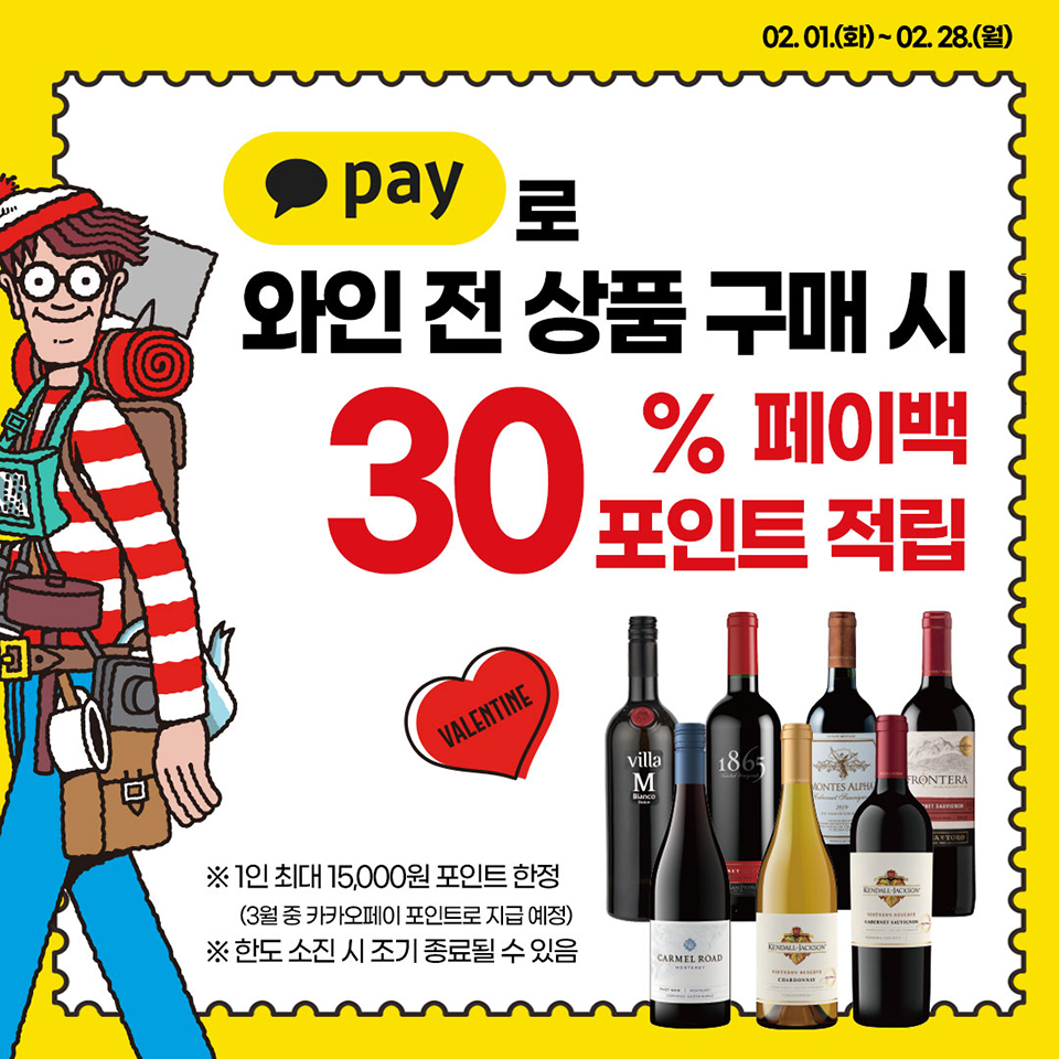카카오 페이로 와인 구매하고, 30% 페이백 포인트 받자!