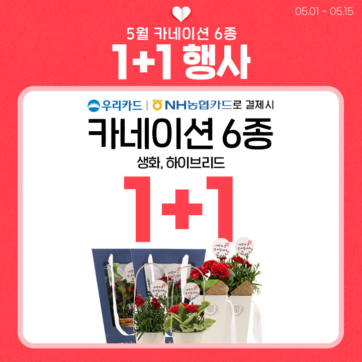 카네이션 신용카드 1+1 행사